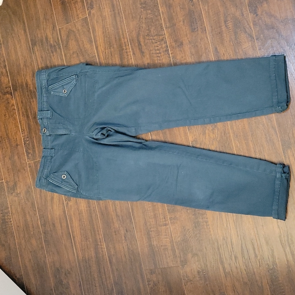 Torrid skinny pants